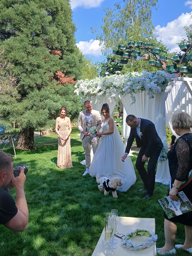 Галерия снимка 29