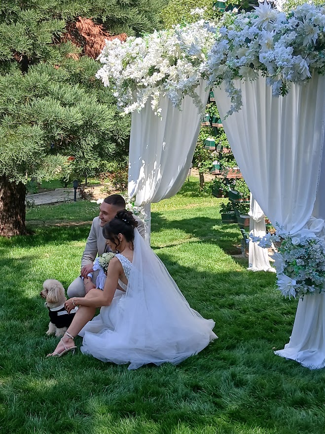 Галерия снимка 30