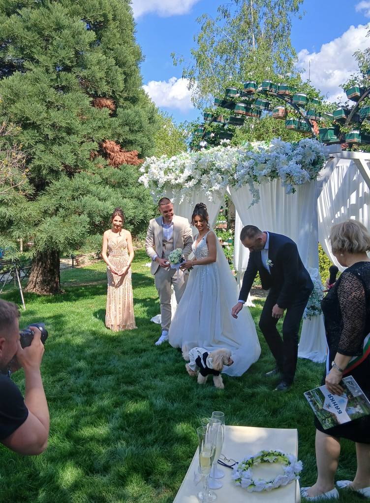 Галерия снимка 67