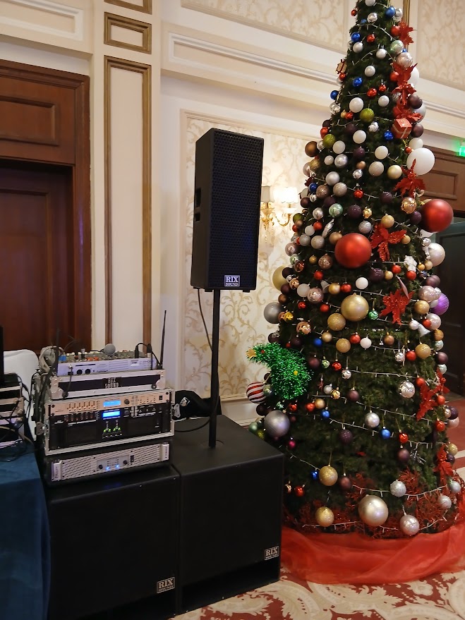 Професионално озвучаване за сватба